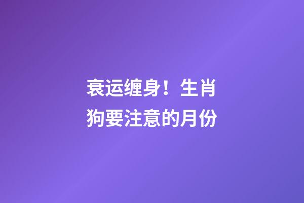 衰运缠身！生肖狗要注意的月份