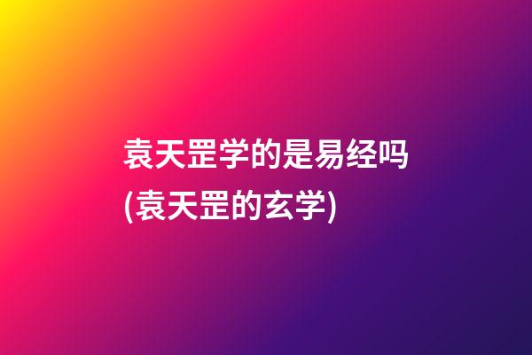 袁天罡学的是易经吗(袁天罡的玄学)