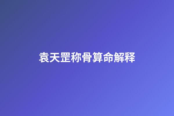 袁天罡称骨算命解释