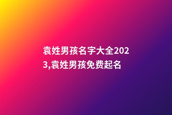 袁姓男孩名字大全2023,袁姓男孩免费起名