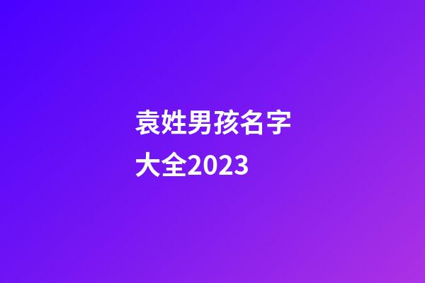 袁姓男孩名字大全2023