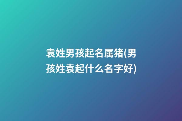 袁姓男孩起名属猪(男孩姓袁起什么名字好)