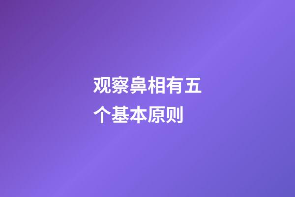 观察鼻相有五个基本原则