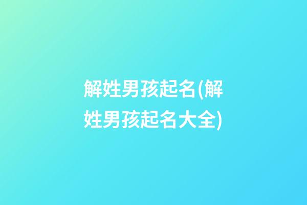 解姓男孩起名(解姓男孩起名大全)