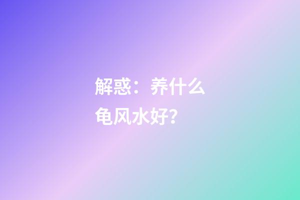 解惑：养什么龟风水好？