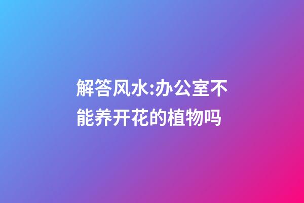 解答风水:办公室不能养开花的植物吗