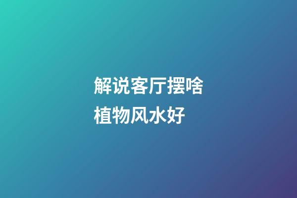 解说客厅摆啥植物风水好