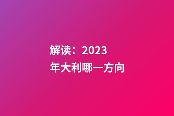 解读：2023年大利哪一方向