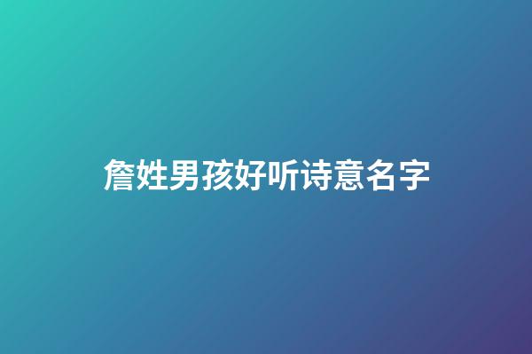 詹姓男孩好听诗意名字
