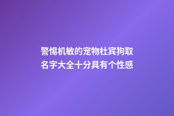 警惕机敏的宠物杜宾狗取名字大全十分具有个性感