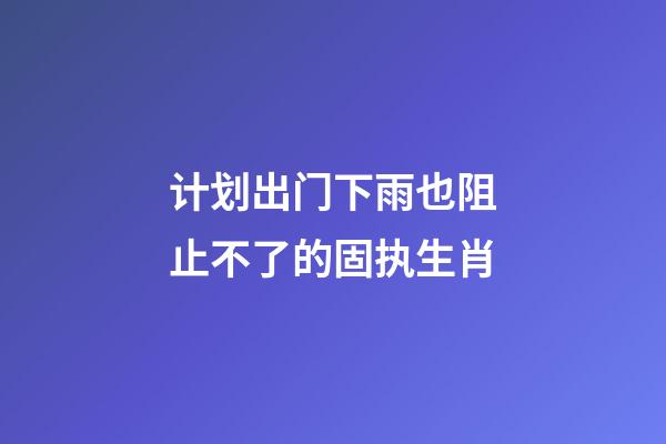 计划出门下雨也阻止不了的固执生肖
