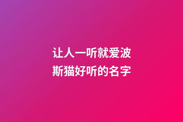 让人一听就爱波斯猫好听的名字