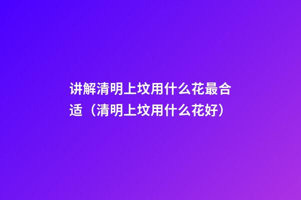讲解清明上坟用什么花最合适（清明上坟用什么花好）