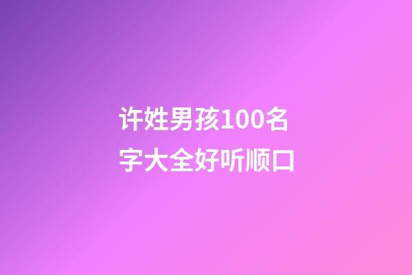 许姓男孩100名字大全好听顺口