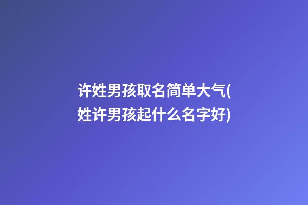 许姓男孩取名简单大气(姓许男孩起什么名字好)