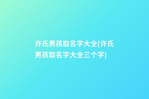许氏男孩取名字大全(许氏男孩取名字大全三个字)