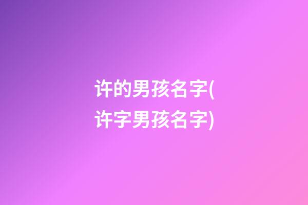 许的男孩名字(许字男孩名字)