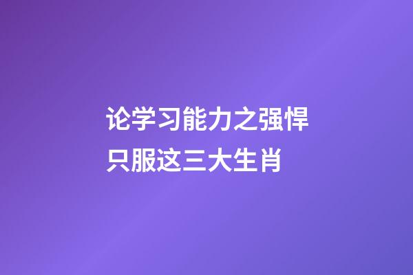 论学习能力之强悍只服这三大生肖