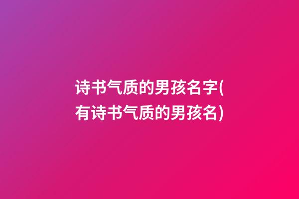 诗书气质的男孩名字(有诗书气质的男孩名)