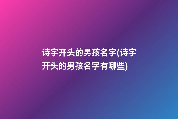 诗字开头的男孩名字(诗字开头的男孩名字有哪些)