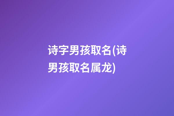 诗字男孩取名(诗男孩取名属龙)