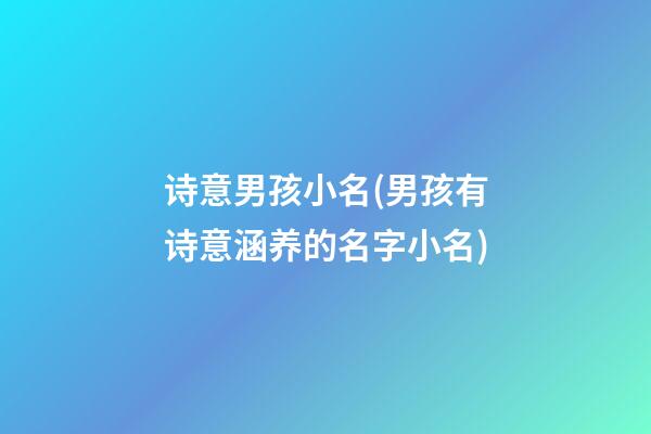 诗意男孩小名(男孩有诗意涵养的名字小名)