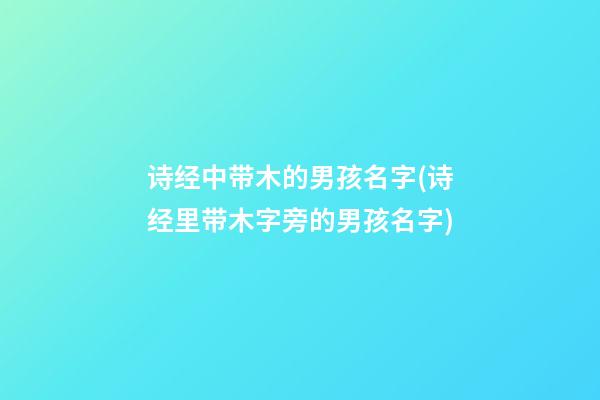 诗经中带木的男孩名字(诗经里带木字旁的男孩名字)