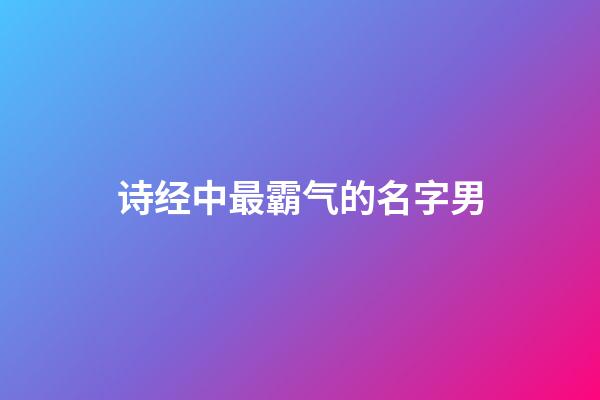 诗经中最霸气的名字男