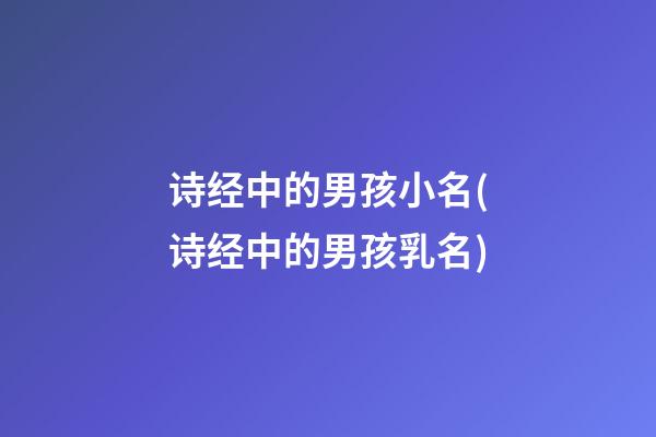 诗经中的男孩小名(诗经中的男孩乳名)