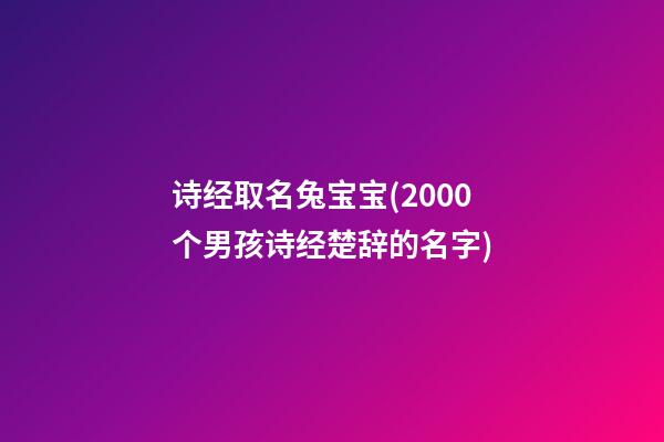 诗经取名兔宝宝(2000个男孩诗经楚辞的名字)