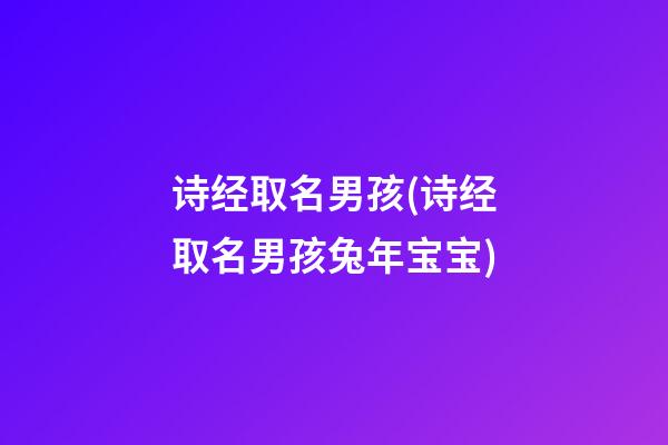诗经取名男孩(诗经取名男孩兔年宝宝)