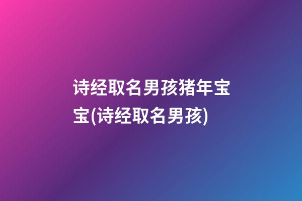 诗经取名男孩猪年宝宝(诗经取名男孩)