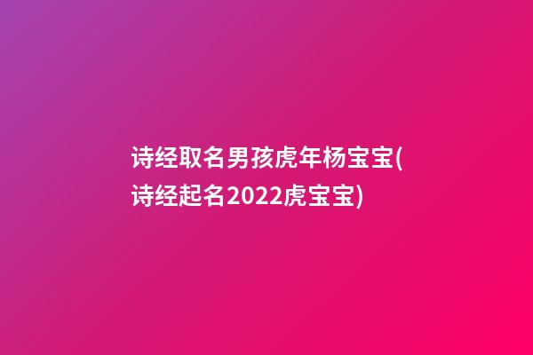 诗经取名男孩虎年杨宝宝(诗经起名2022虎宝宝)