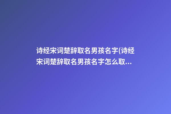 诗经宋词楚辞取名男孩名字(诗经宋词楚辞取名男孩名字怎么取)