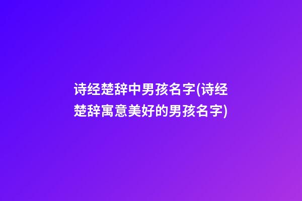 诗经楚辞中男孩名字(诗经楚辞寓意美好的男孩名字)