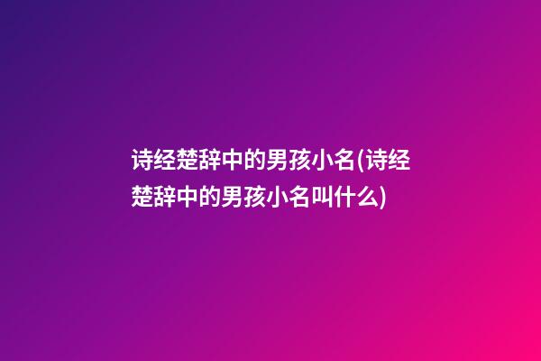 诗经楚辞中的男孩小名(诗经楚辞中的男孩小名叫什么)