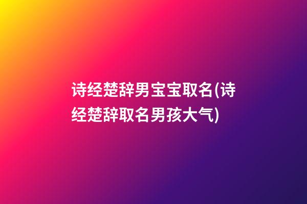 诗经楚辞男宝宝取名(诗经楚辞取名男孩大气)