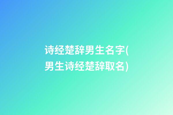 诗经楚辞男生名字(男生诗经楚辞取名)