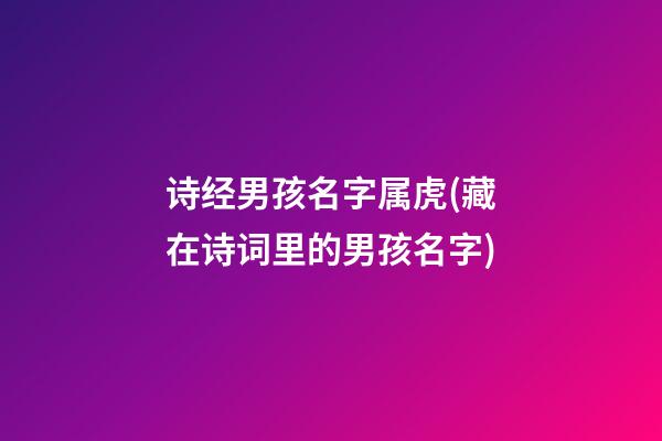 诗经男孩名字属虎(藏在诗词里的男孩名字)