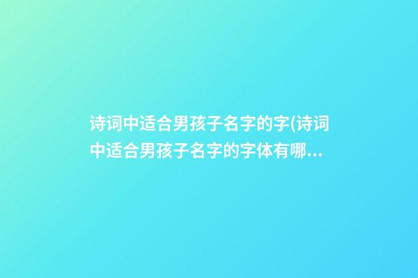 诗词中适合男孩子名字的字(诗词中适合男孩子名字的字体有哪些)
