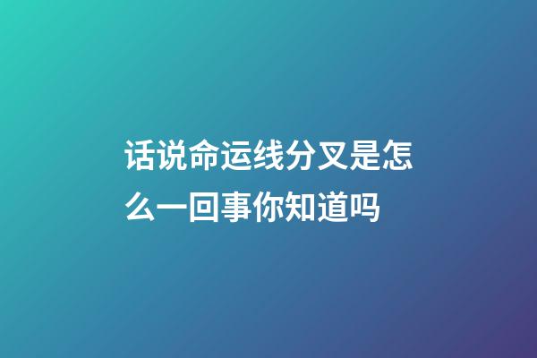 话说命运线分叉是怎么一回事你知道吗