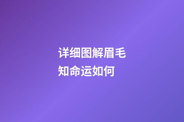 详细图解眉毛知命运如何