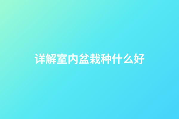 详解室内盆栽种什么好