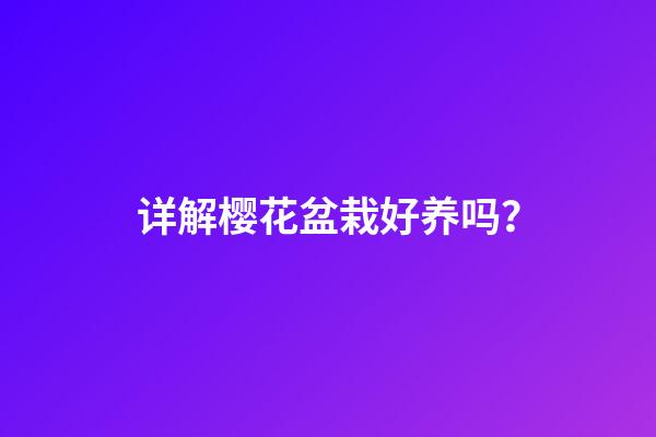 详解樱花盆栽好养吗？
