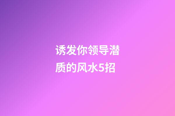 诱发你领导潜质的风水5招