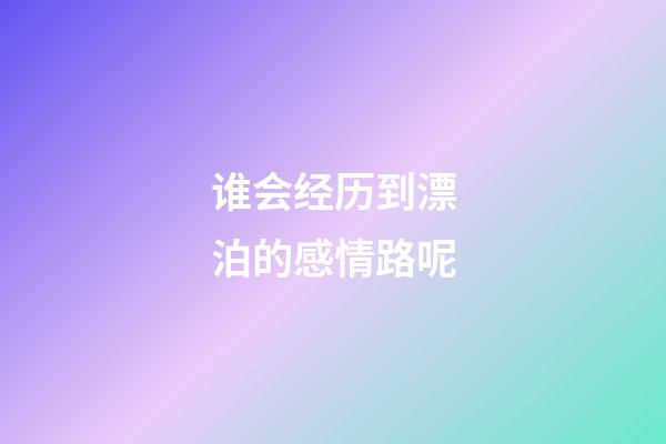 谁会经历到漂泊的感情路呢