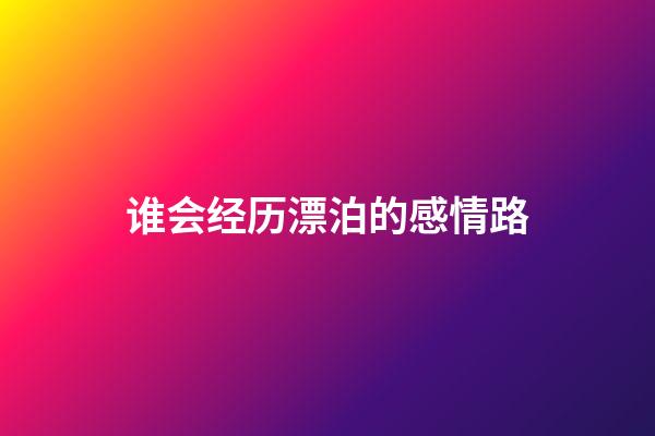 谁会经历漂泊的感情路