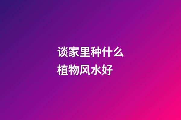 谈家里种什么植物风水好