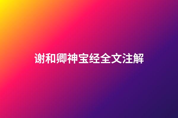 谢和卿神宝经全文注解