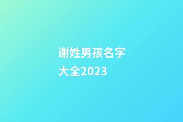 谢姓男孩名字大全2023
